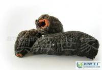 森河瑞星贸易 连接全球贸易的桥梁与纽带